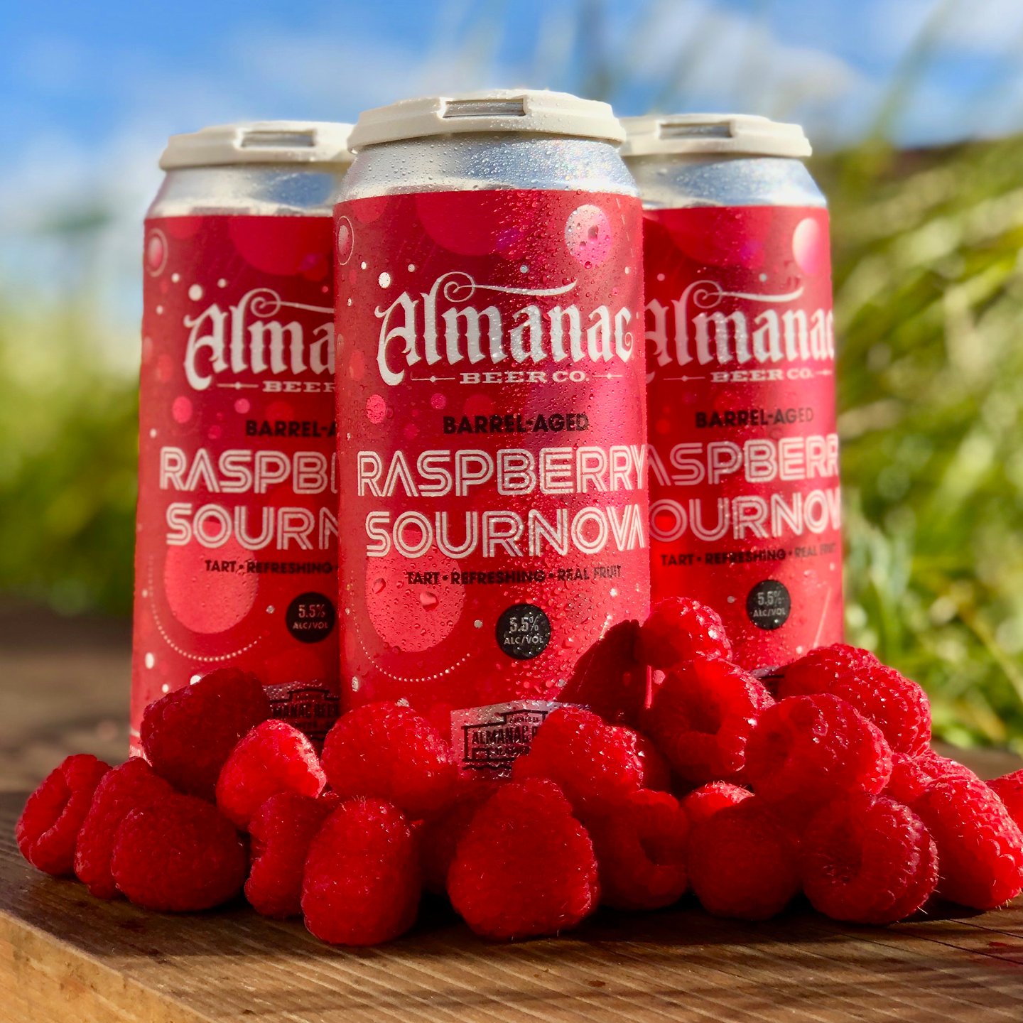 Almanac Tall Cans in White PakTech Can Carriers